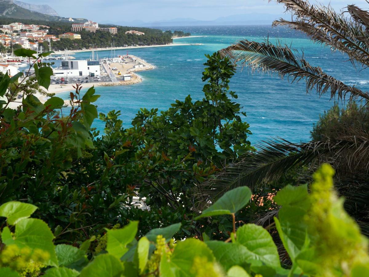 Apartments Feral Baška Voda エクステリア 写真